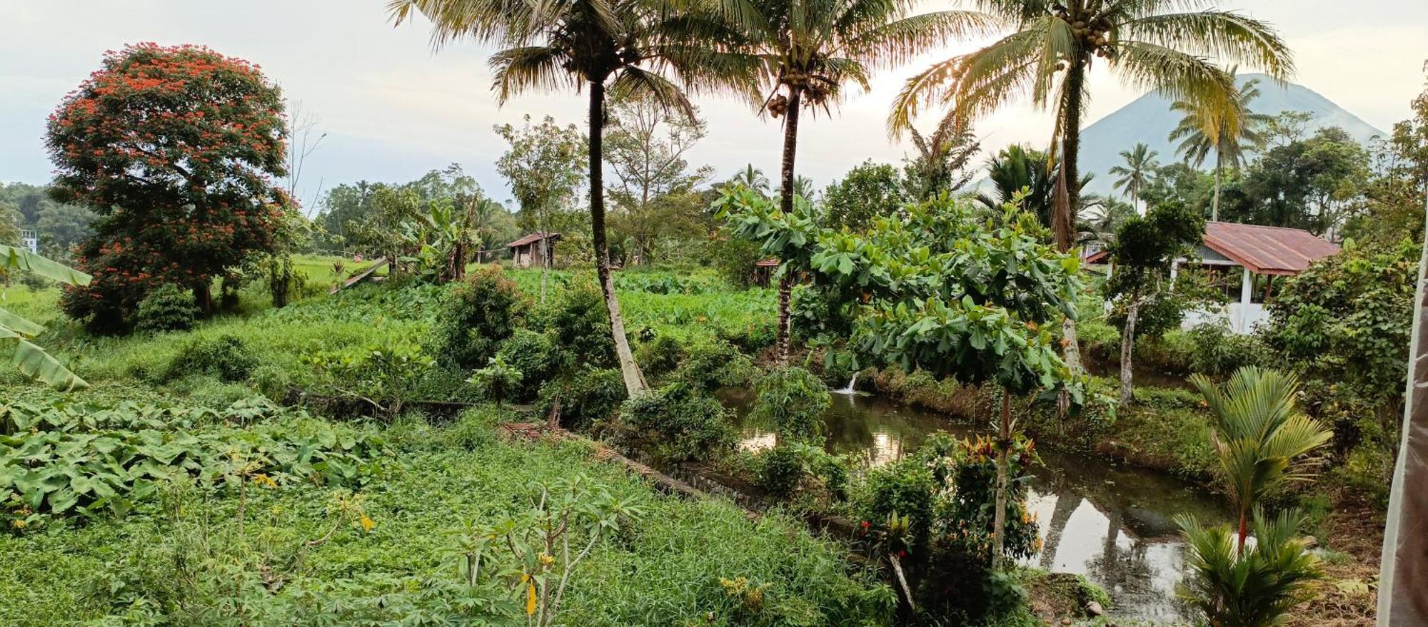 Talaga Tomohon Home Stay And Fishing Pond エクステリア 写真