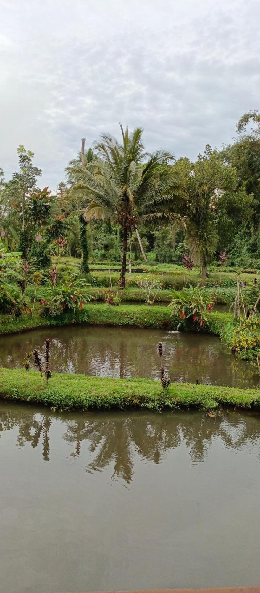 Talaga Tomohon Home Stay And Fishing Pond エクステリア 写真