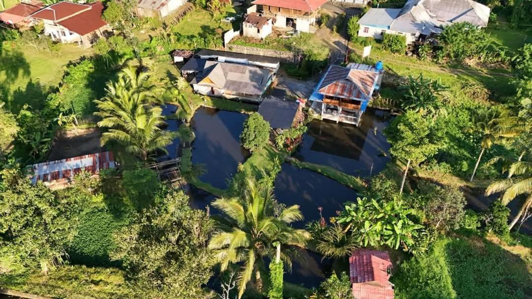 Talaga Tomohon Home Stay And Fishing Pond エクステリア 写真