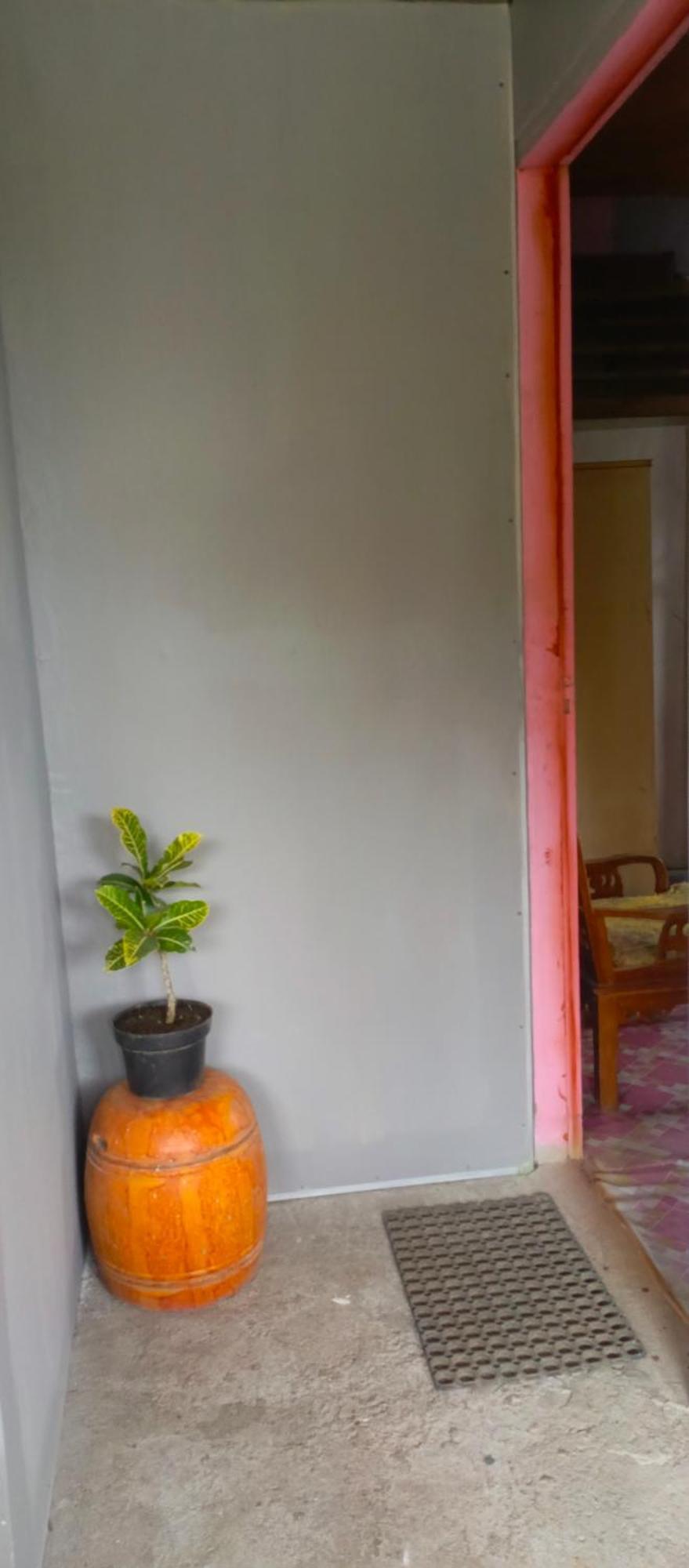 Talaga Tomohon Home Stay And Fishing Pond エクステリア 写真